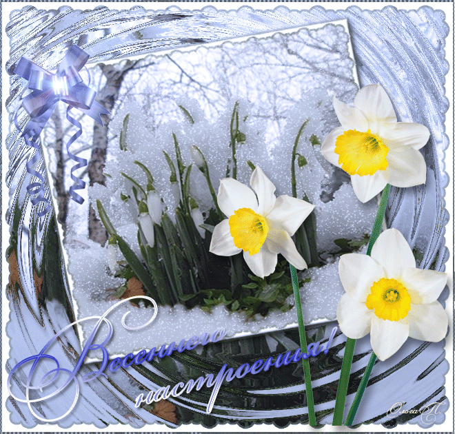 С днем весны,весна в картинках,живые картинки весна,красивые картинки весна, самая красивая весна картинки