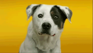 Анимационные живые картинки Собаки