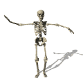 скелет живая картинка